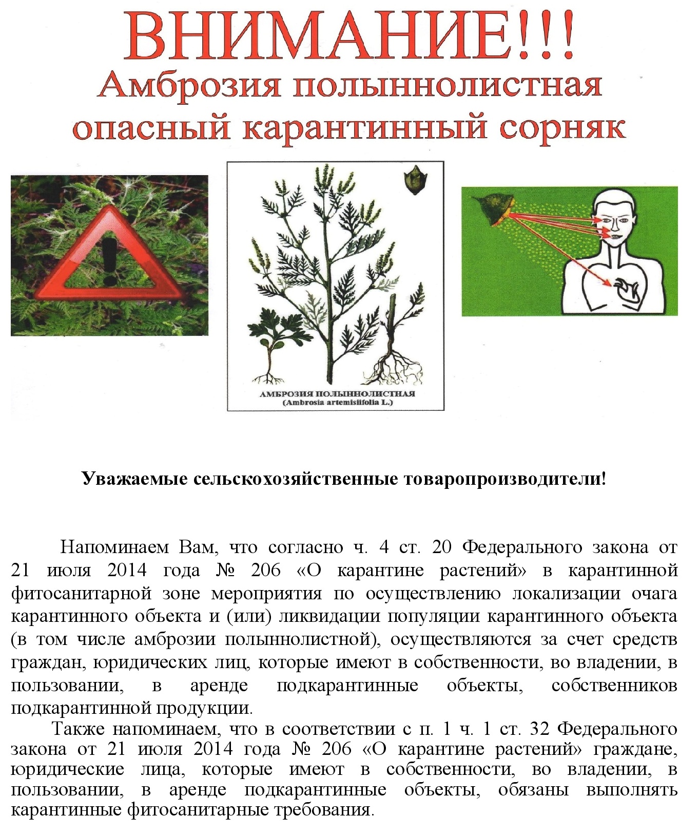 памятка